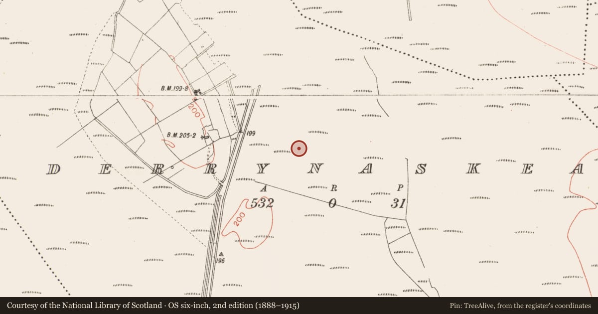 Ordnance Survey six-inch map, 2nd edition (1888–1915) covering the location of Road - class 3 togher, Derrynaskea, County Longford, with a pin at the register's coordinates