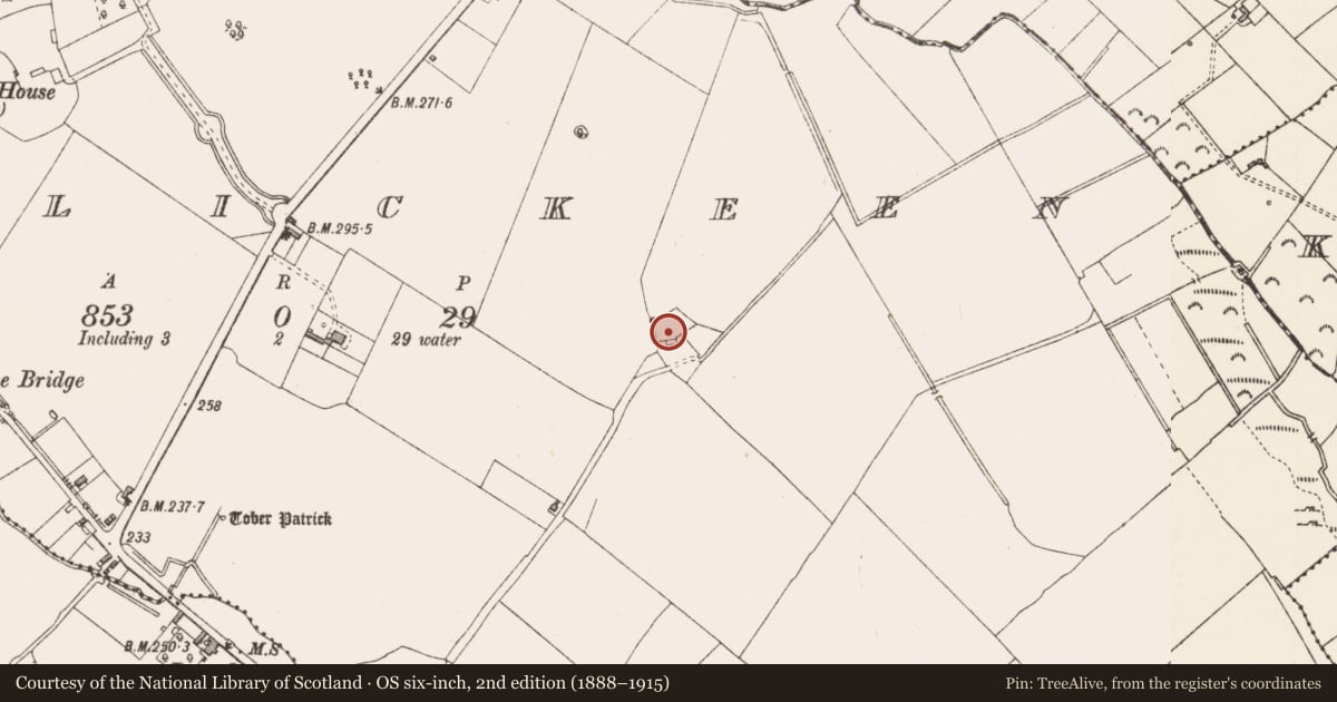 Ordnance Survey six-inch map, 2nd edition (1888–1915) covering the location of Bawn, Tirlickeen, County Longford, with a pin at the register's coordinates