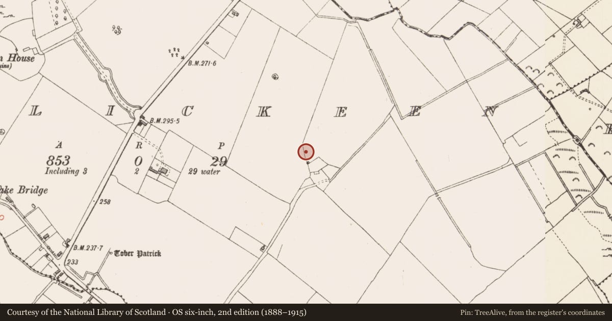 Ordnance Survey six-inch map, 2nd edition (1888–1915) covering the location of Designed landscape - formal garden, Tirlickeen, County Longford, with a pin at the register's coordinates