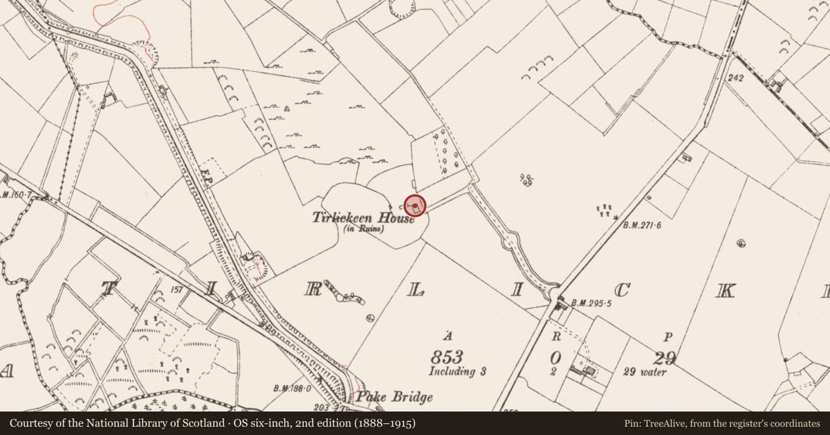 Ordnance Survey six-inch map, 2nd edition (1888–1915) covering the location of Architectural fragment, Tirlickeen, County Longford, with a pin at the register's coordinates