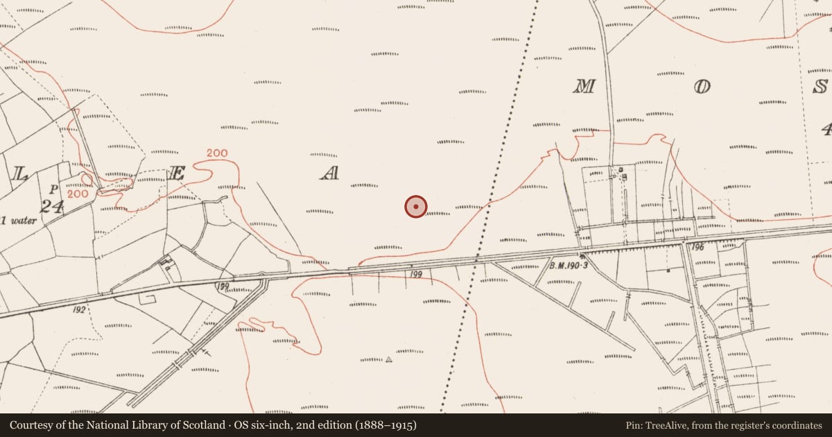 Ordnance Survey six-inch map, 2nd edition (1888–1915) covering the location of Road - class 1 togher, Corlea, County Longford, with a pin at the register's coordinates