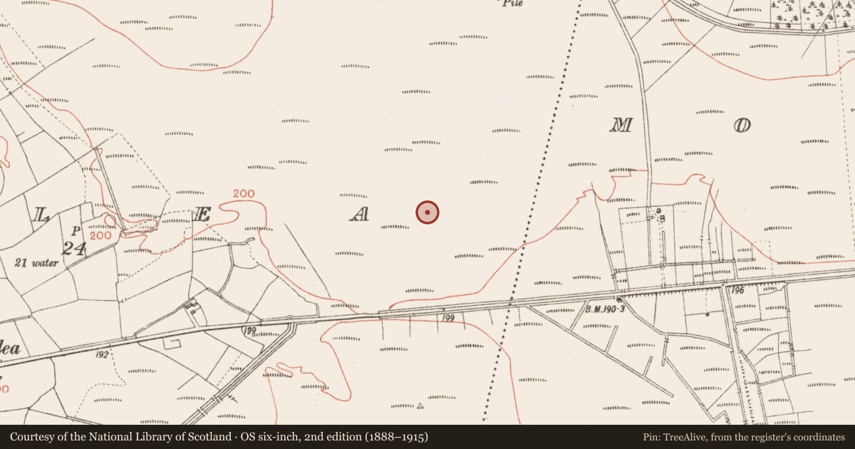 Ordnance Survey six-inch map, 2nd edition (1888–1915) covering the location of Platform - peatland, Corlea, County Longford, with a pin at the register's coordinates