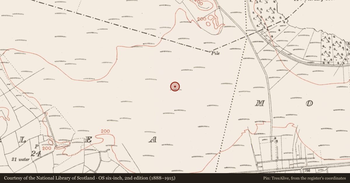 Ordnance Survey six-inch map, 2nd edition (1888–1915) covering the location of Road - class 2 togher, Corlea, County Longford, with a pin at the register's coordinates