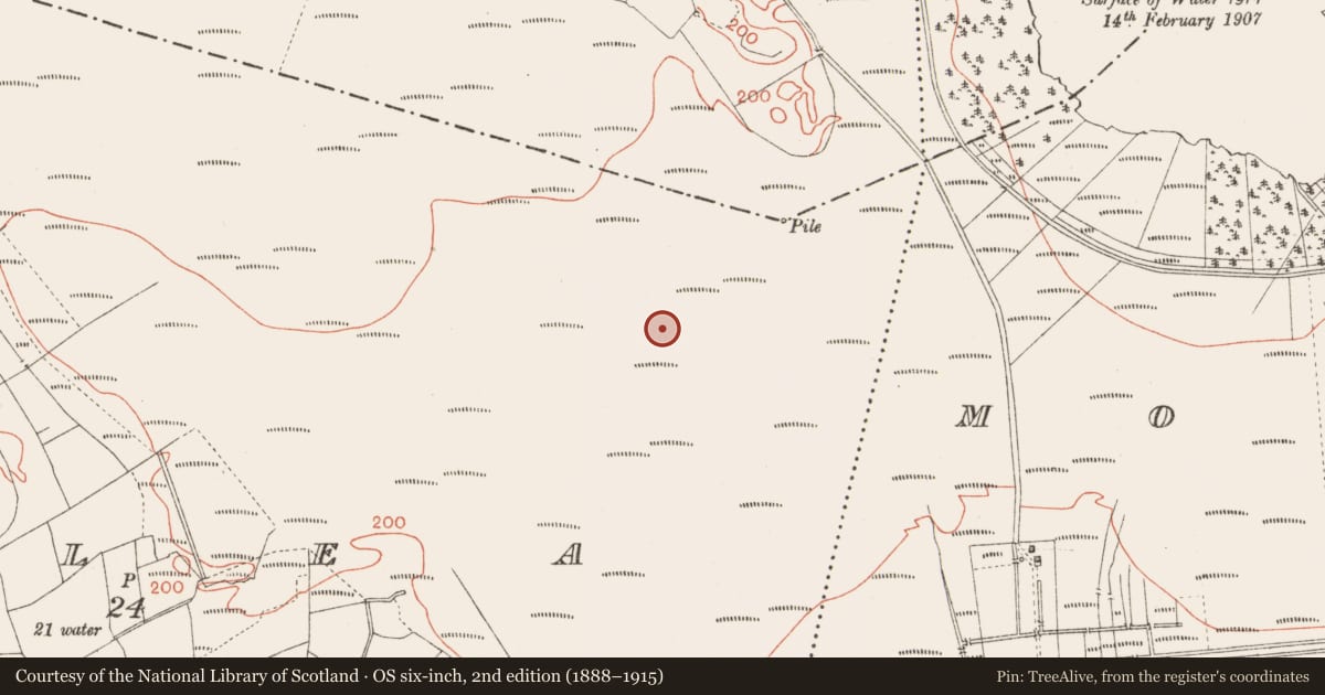 Ordnance Survey six-inch map, 2nd edition (1888–1915) covering the location of Road - unclassified togher, Corlea, County Longford, with a pin at the register's coordinates