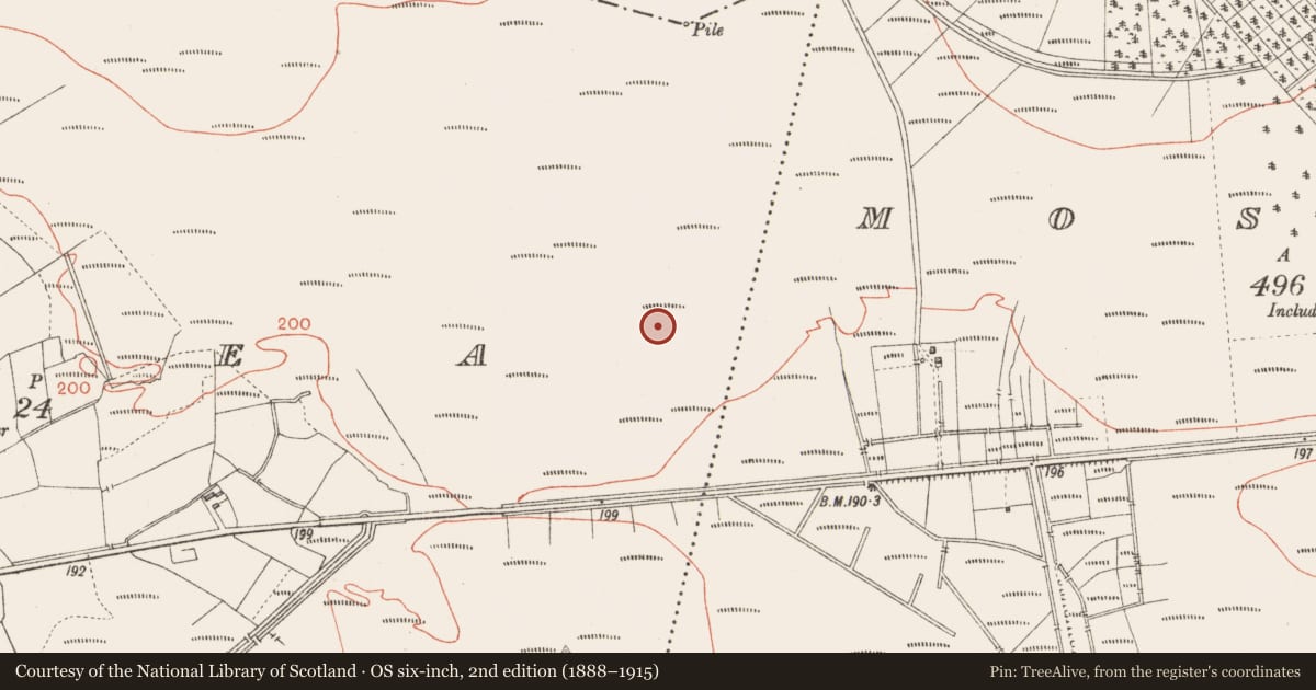 Ordnance Survey six-inch map, 2nd edition (1888–1915) covering the location of Road - class 3 togher, Corlea, County Longford, with a pin at the register's coordinates