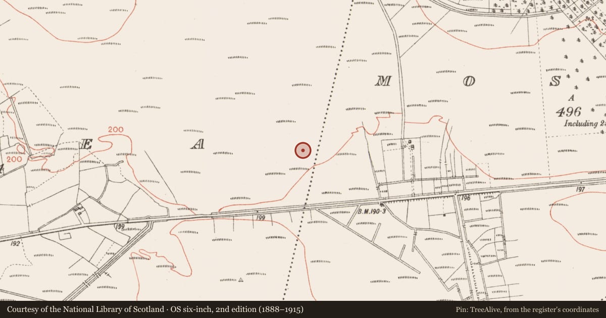Ordnance Survey six-inch map, 2nd edition (1888–1915) covering the location of Road - class 2 togher, Corlea, County Longford, with a pin at the register's coordinates