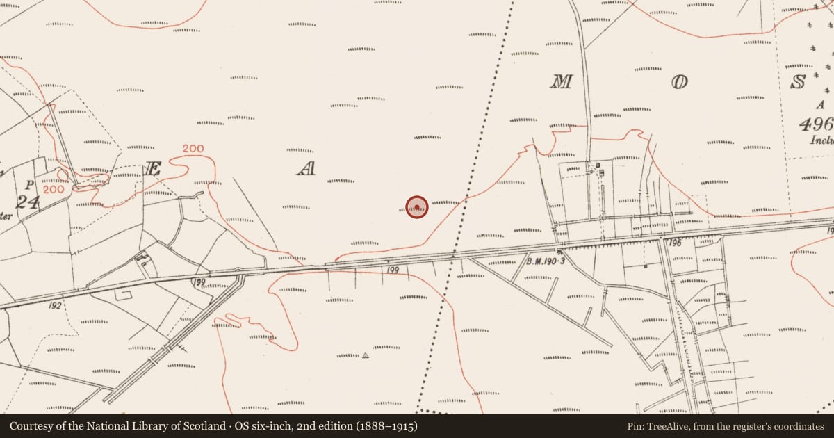 Ordnance Survey six-inch map, 2nd edition (1888–1915) covering the location of Road - unclassified togher, Corlea, County Longford, with a pin at the register's coordinates