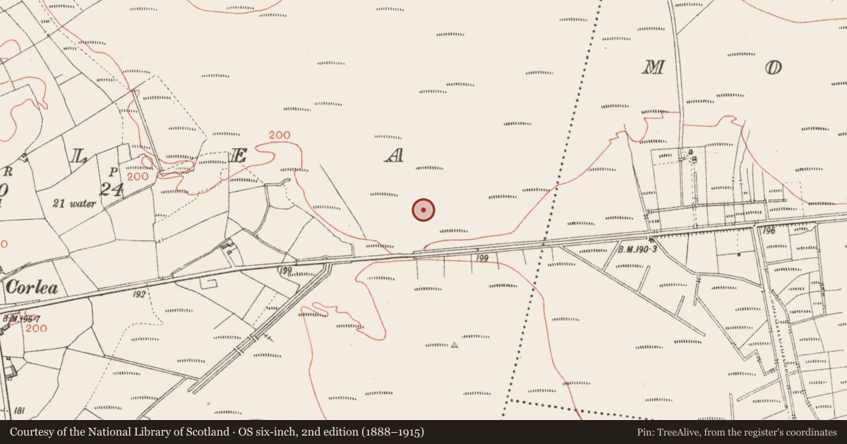 Ordnance Survey six-inch map, 2nd edition (1888–1915) covering the location of Road - class 2 togher, Corlea, County Longford, with a pin at the register's coordinates