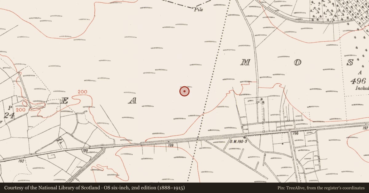 Ordnance Survey six-inch map, 2nd edition (1888–1915) covering the location of Platform - peatland, Corlea, County Longford, with a pin at the register's coordinates