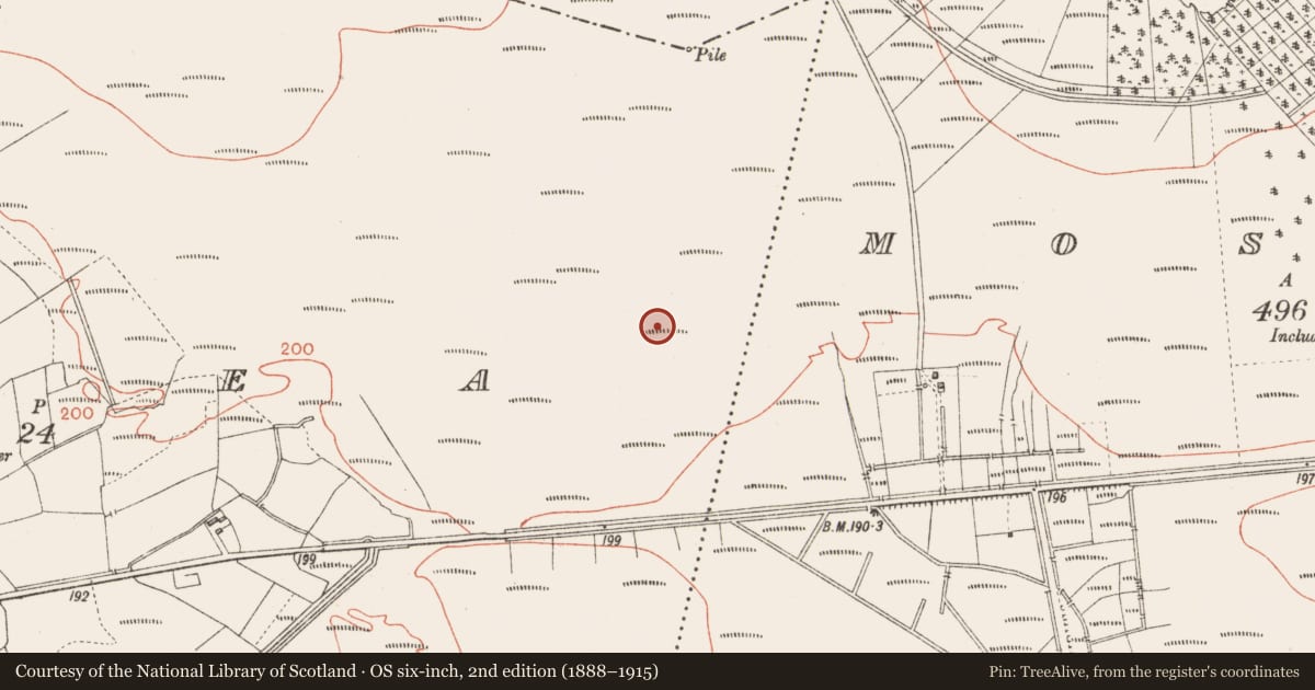Ordnance Survey six-inch map, 2nd edition (1888–1915) covering the location of Road - unclassified togher, Corlea, County Longford, with a pin at the register's coordinates