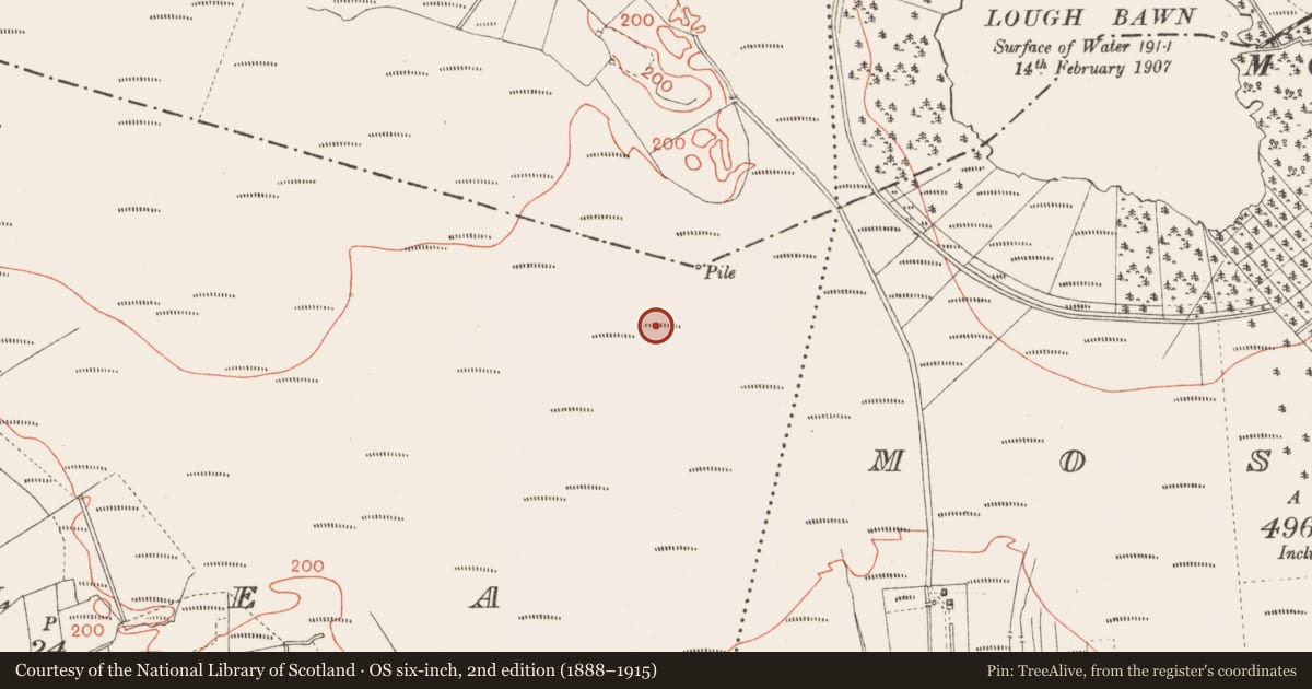 Ordnance Survey six-inch map, 2nd edition (1888–1915) covering the location of Platform - peatland, Corlea, County Longford, with a pin at the register's coordinates