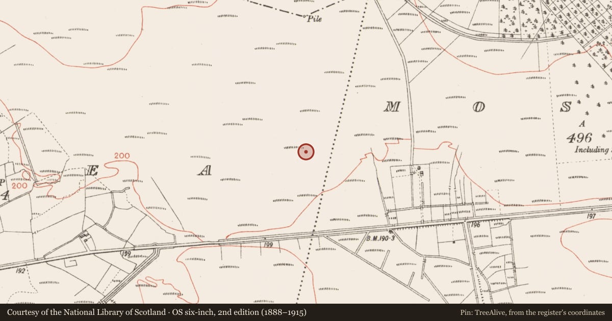 Ordnance Survey six-inch map, 2nd edition (1888–1915) covering the location of Road - class 3 togher, Corlea, County Longford, with a pin at the register's coordinates