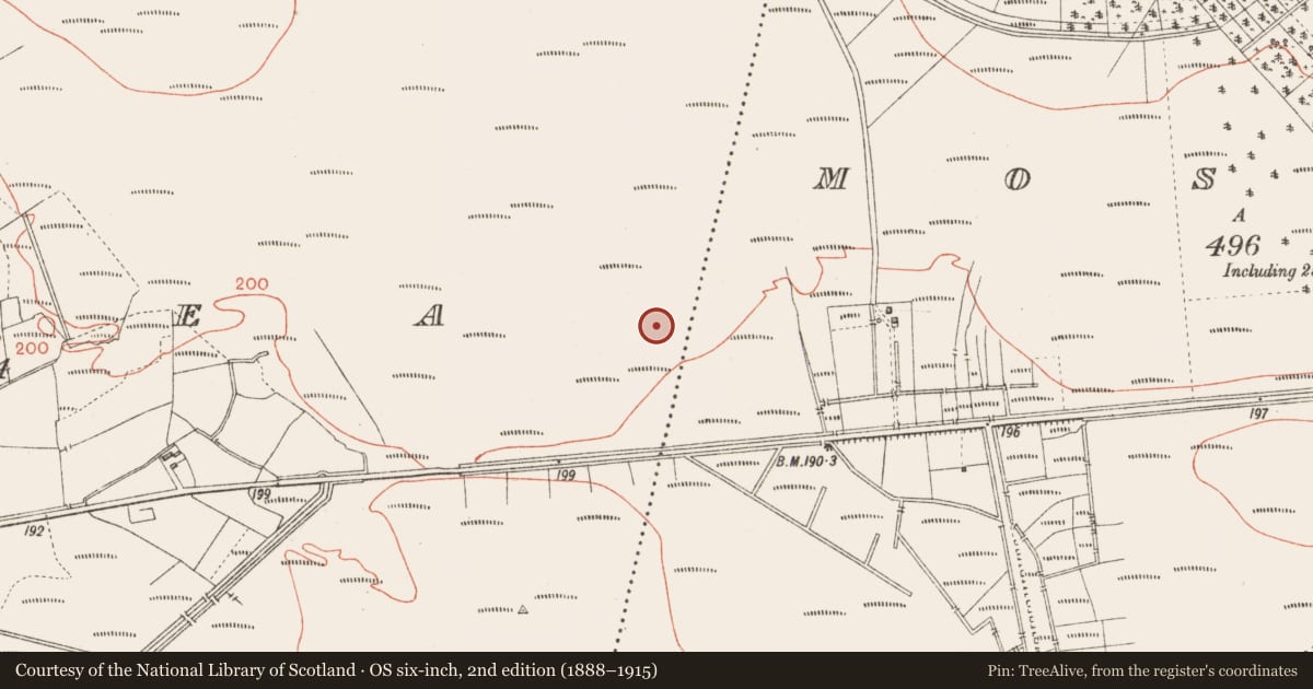 Ordnance Survey six-inch map, 2nd edition (1888–1915) covering the location of Road - unclassified togher, Corlea, County Longford, with a pin at the register's coordinates