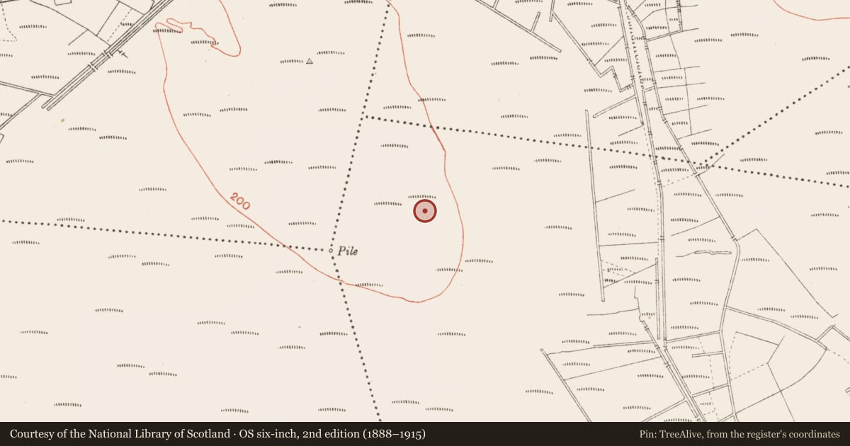 Ordnance Survey six-inch map, 2nd edition (1888–1915) covering the location of Platform - peatland, Cloonbreany, County Longford, with a pin at the register's coordinates