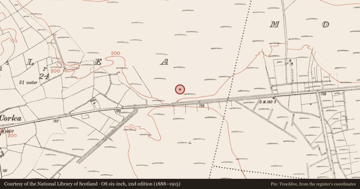Ordnance Survey six-inch map, 2nd edition (1888–1915) covering the location of Road - class 3 togher, Corlea, County Longford, with a pin at the register's coordinates