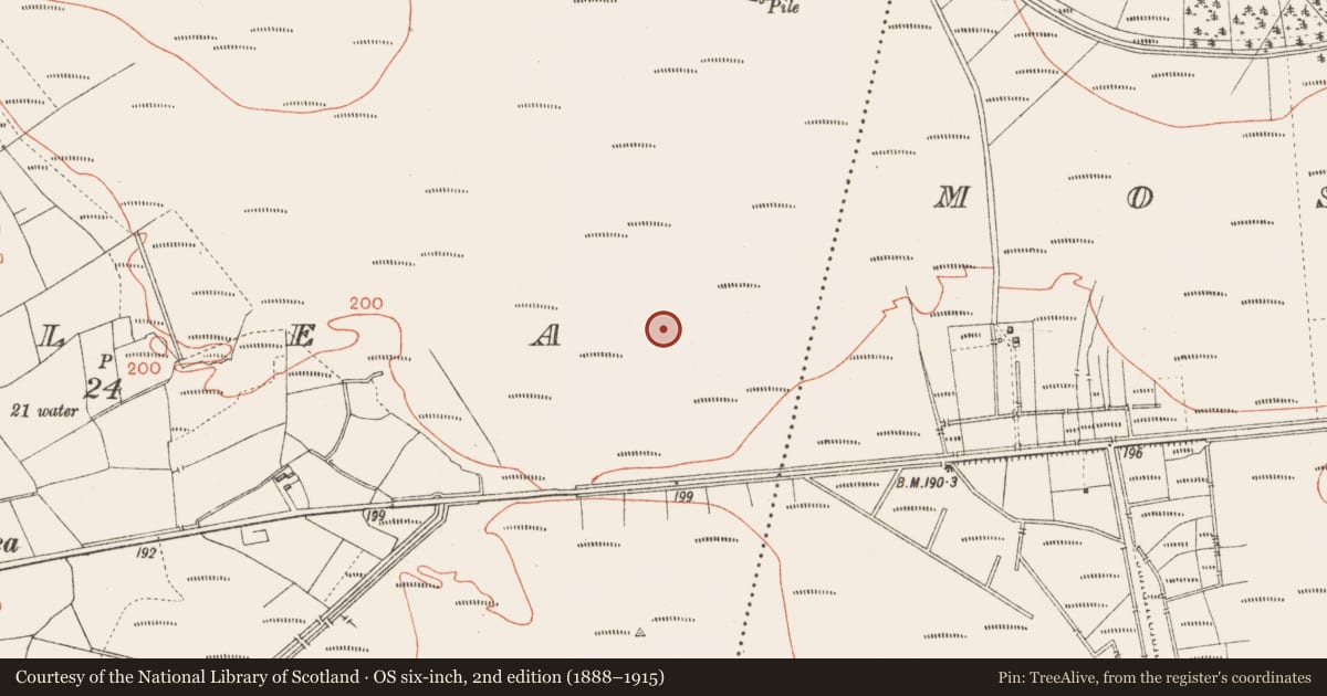 Ordnance Survey six-inch map, 2nd edition (1888–1915) covering the location of Road - class 3 togher, Corlea, County Longford, with a pin at the register's coordinates