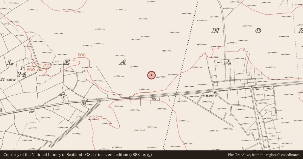 Ordnance Survey six-inch map, 2nd edition (1888–1915) covering the location of Platform - peatland, Corlea, County Longford, with a pin at the register's coordinates