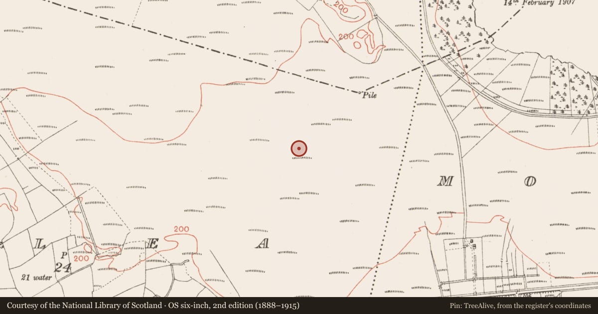 Ordnance Survey six-inch map, 2nd edition (1888–1915) covering the location of Platform - peatland, Corlea, County Longford, with a pin at the register's coordinates