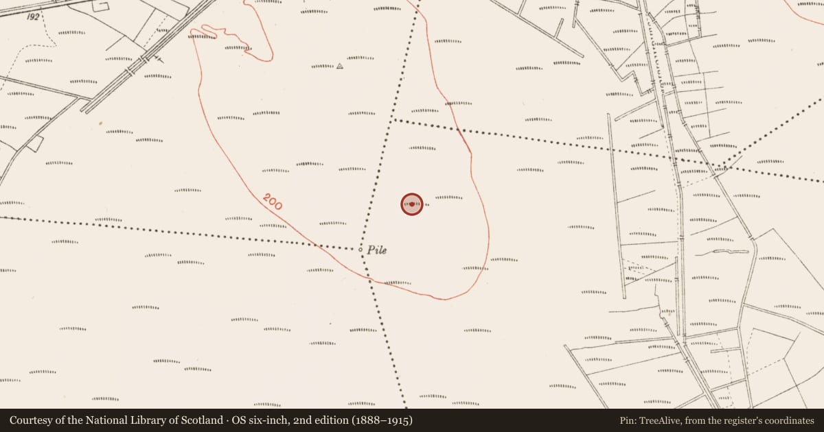 Ordnance Survey six-inch map, 2nd edition (1888–1915) covering the location of Platform - peatland, Cloonbreany, County Longford, with a pin at the register's coordinates