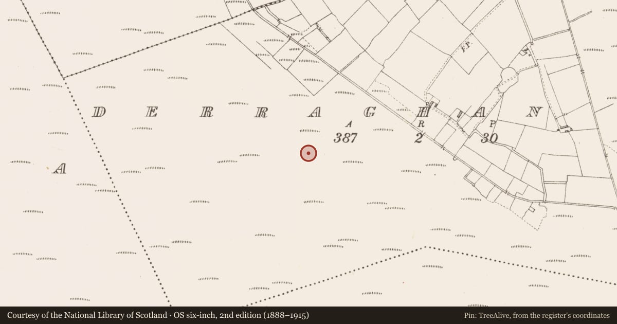 Ordnance Survey six-inch map, 2nd edition (1888–1915) covering the location of Platform - peatland, Derraghan More, County Longford, with a pin at the register's coordinates
