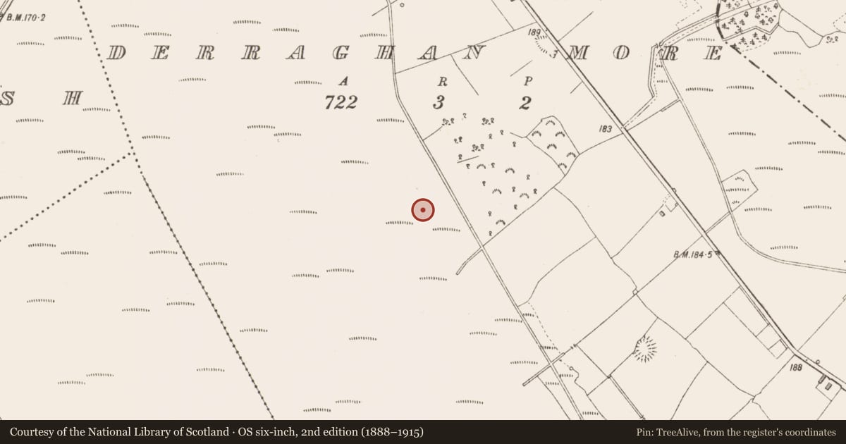 Ordnance Survey six-inch map, 2nd edition (1888–1915) covering the location of Road - class 3 togher, Derraghan More, County Longford, with a pin at the register's coordinates
