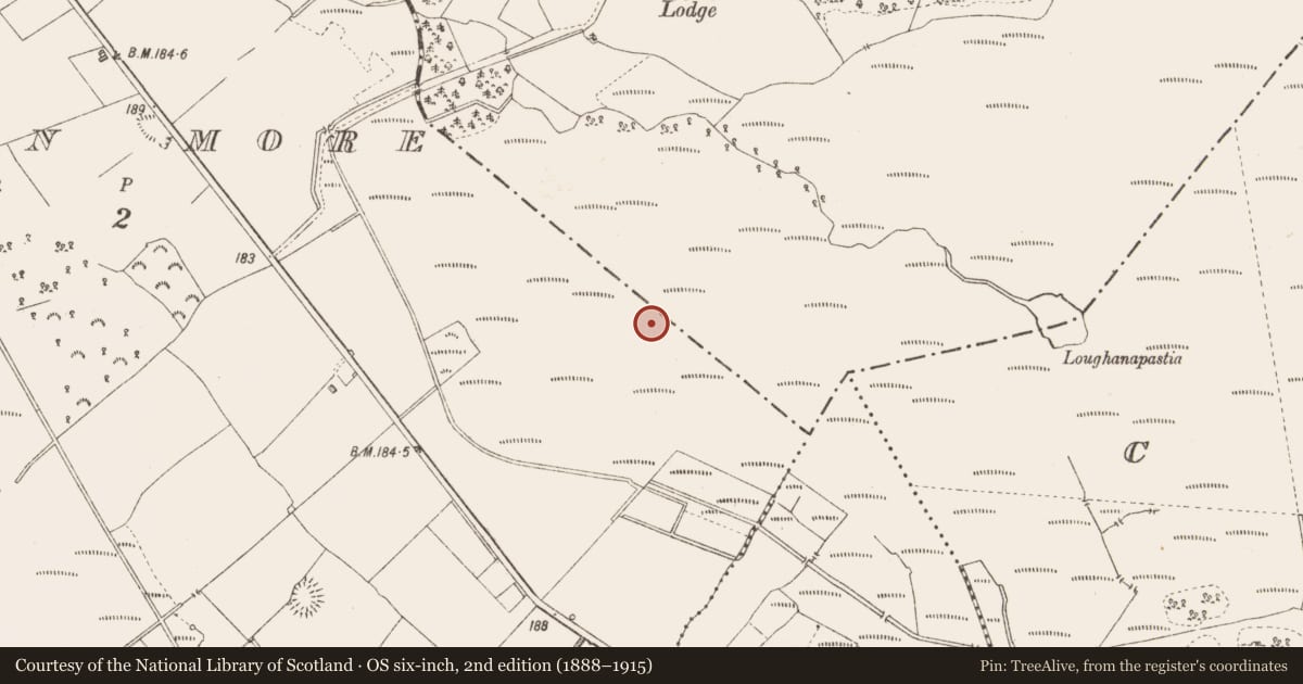Ordnance Survey six-inch map, 2nd edition (1888–1915) covering the location of Road - unclassified togher, Derraghan More, County Longford, with a pin at the register's coordinates