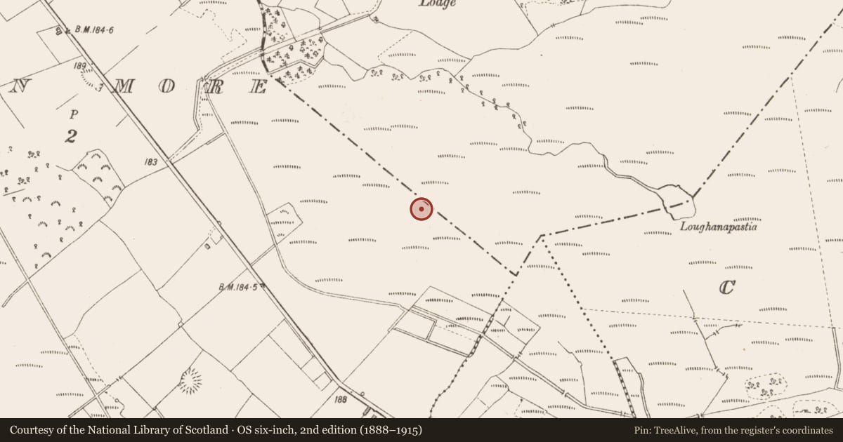 Ordnance Survey six-inch map, 2nd edition (1888–1915) covering the location of Road - unclassified togher, Derraghan More, County Longford, with a pin at the register's coordinates