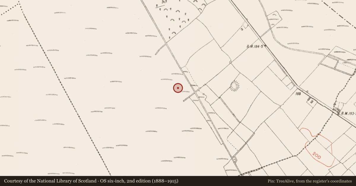 Ordnance Survey six-inch map, 2nd edition (1888–1915) covering the location of Post row - peatland, Derraghan More, County Longford, with a pin at the register's coordinates