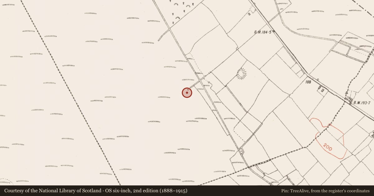 Ordnance Survey six-inch map, 2nd edition (1888–1915) covering the location of Platform - peatland, Derraghan More, County Longford, with a pin at the register's coordinates