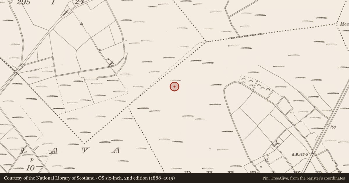 Ordnance Survey six-inch map, 2nd edition (1888–1915) covering the location of Road - class 3 togher, Derrindiff, County Longford, with a pin at the register's coordinates