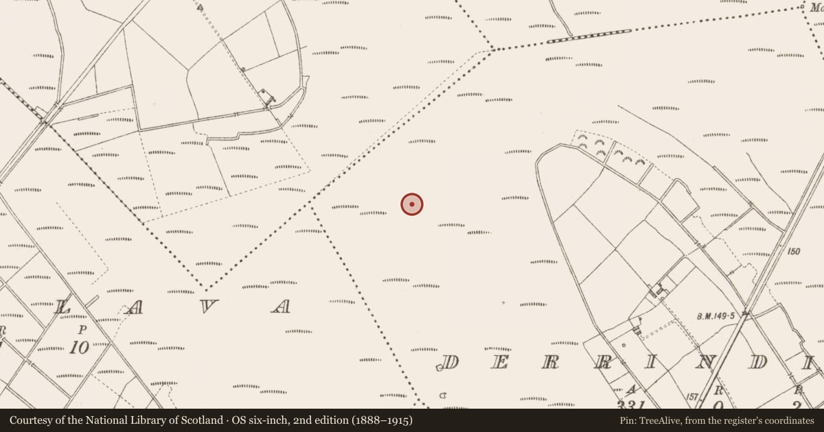 Ordnance Survey six-inch map, 2nd edition (1888–1915) covering the location of Road - unclassified togher, Derrindiff, County Longford, with a pin at the register's coordinates
