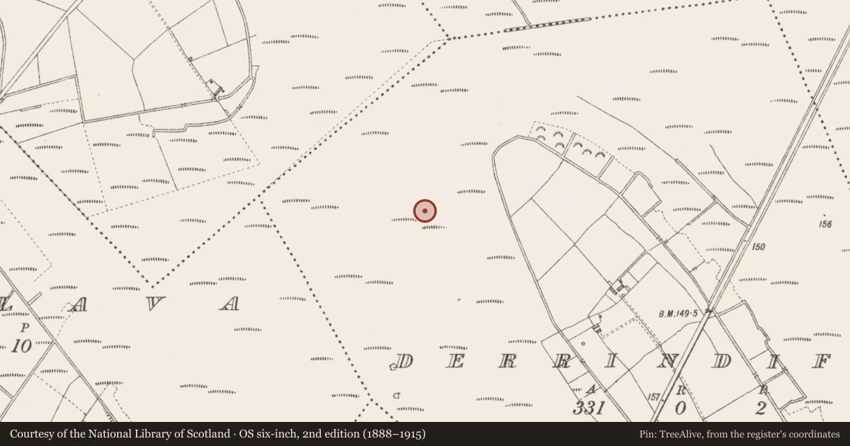 Ordnance Survey six-inch map, 2nd edition (1888–1915) covering the location of Platform - peatland, Derrindiff, County Longford, with a pin at the register's coordinates