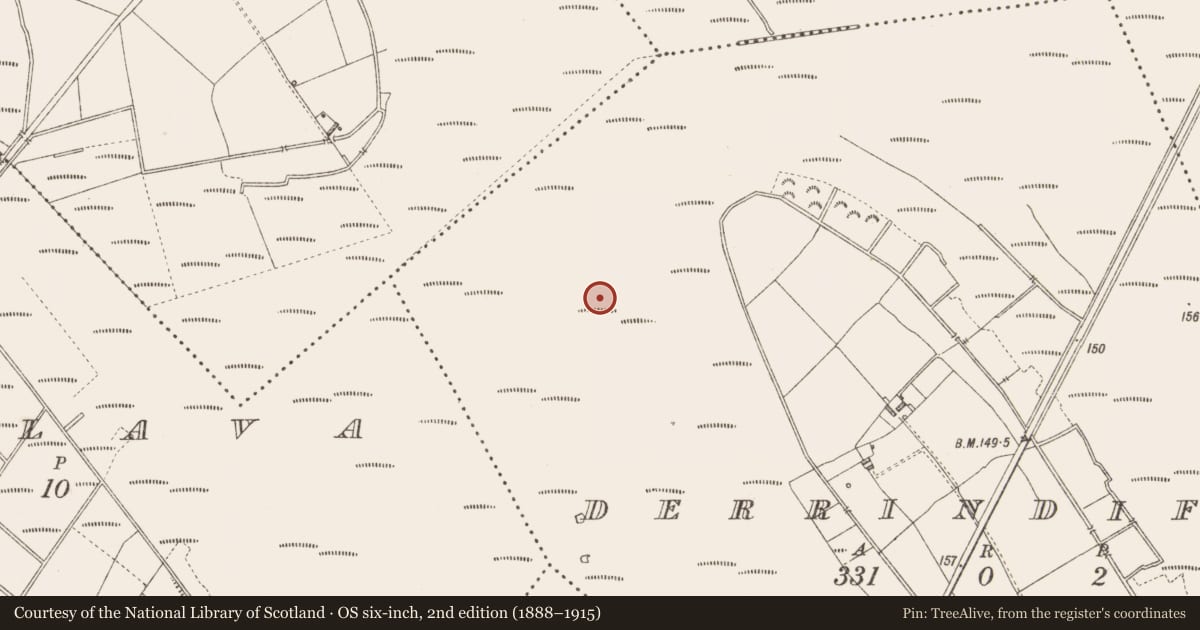 Ordnance Survey six-inch map, 2nd edition (1888–1915) covering the location of Platform - peatland, Derrindiff, County Longford, with a pin at the register's coordinates