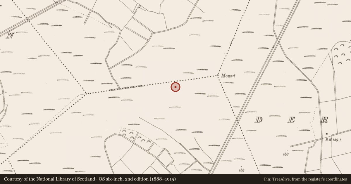 Ordnance Survey six-inch map, 2nd edition (1888–1915) covering the location of Post row - peatland, Derrindiff, County Longford, with a pin at the register's coordinates