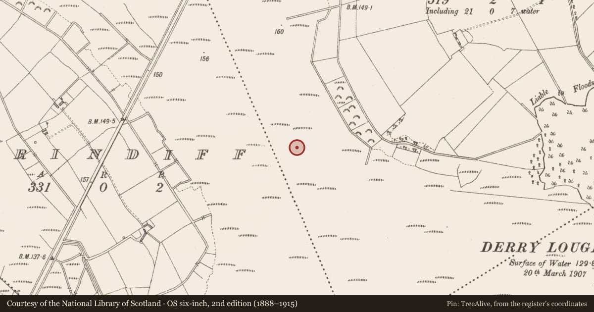 Ordnance Survey six-inch map, 2nd edition (1888–1915) covering the location of Road - class 3 togher, Derrindiff, County Longford, with a pin at the register's coordinates