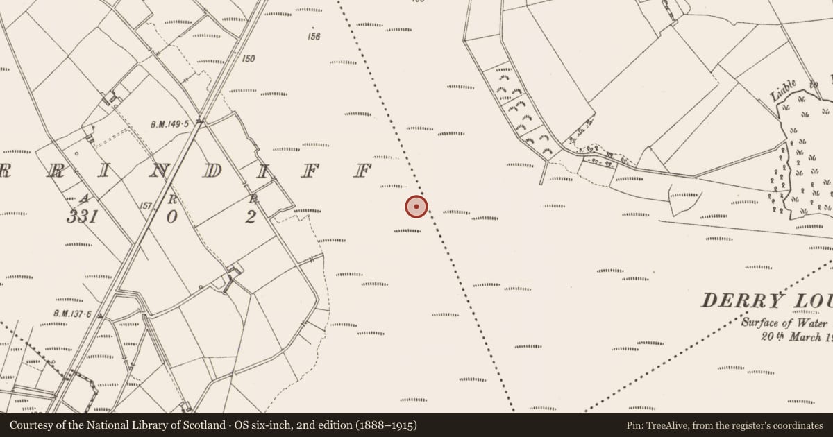 Ordnance Survey six-inch map, 2nd edition (1888–1915) covering the location of Road - class 2 togher, Derrindiff, County Longford, with a pin at the register's coordinates