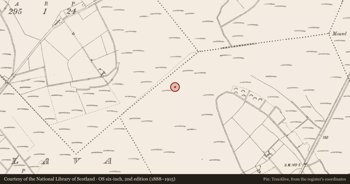 Ordnance Survey six-inch map, 2nd edition (1888–1915) covering the location of Platform - peatland, Derrindiff, County Longford, with a pin at the register's coordinates