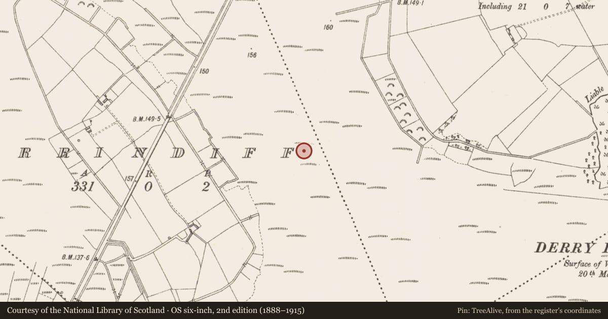 Ordnance Survey six-inch map, 2nd edition (1888–1915) covering the location of Platform - peatland, Derrindiff, County Longford, with a pin at the register's coordinates