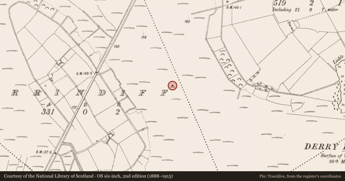 Ordnance Survey six-inch map, 2nd edition (1888–1915) covering the location of Platform - peatland, Derrindiff, County Longford, with a pin at the register's coordinates
