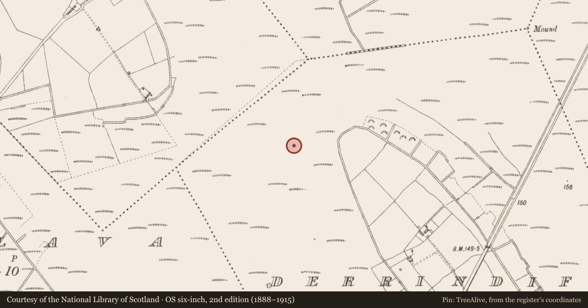 Ordnance Survey six-inch map, 2nd edition (1888–1915) covering the location of Road - unclassified togher, Derrindiff, County Longford, with a pin at the register's coordinates