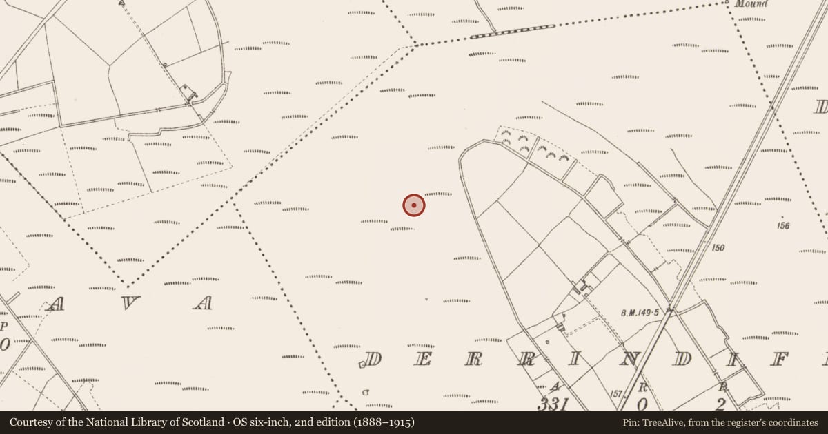 Ordnance Survey six-inch map, 2nd edition (1888–1915) covering the location of Road - unclassified togher, Derrindiff, County Longford, with a pin at the register's coordinates
