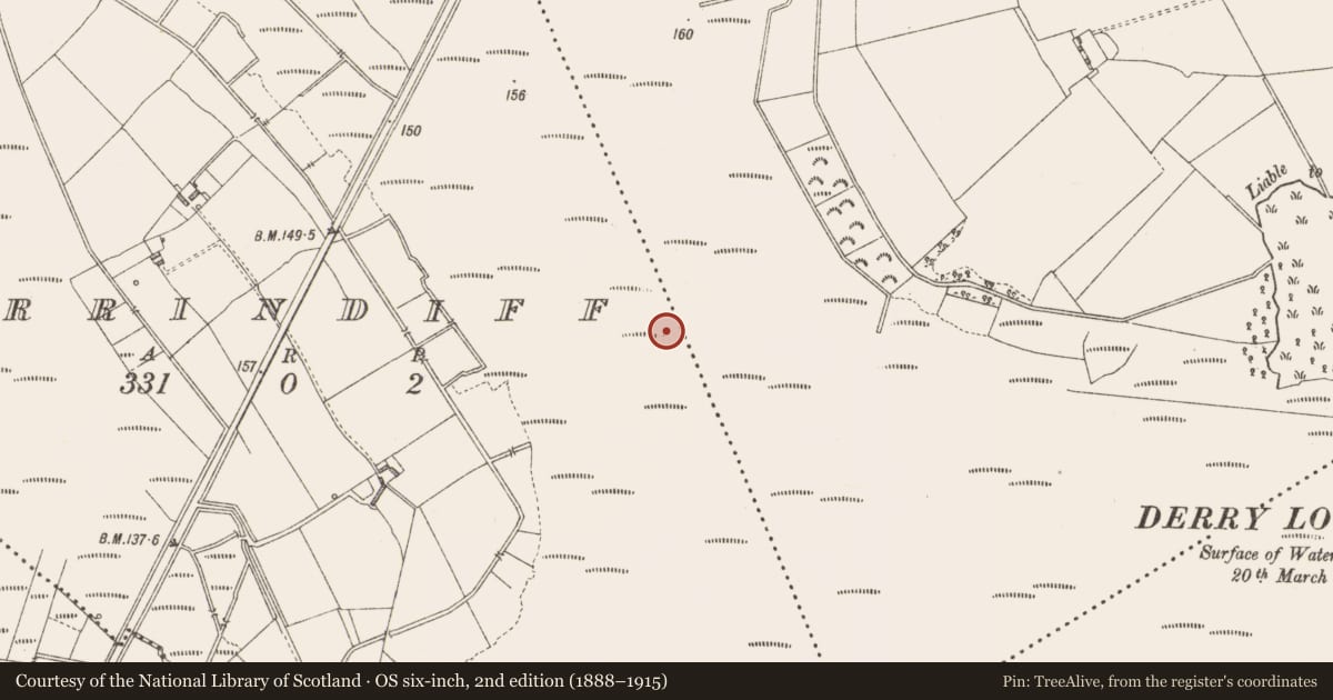 Ordnance Survey six-inch map, 2nd edition (1888–1915) covering the location of Platform - peatland, Derrindiff, County Longford, with a pin at the register's coordinates
