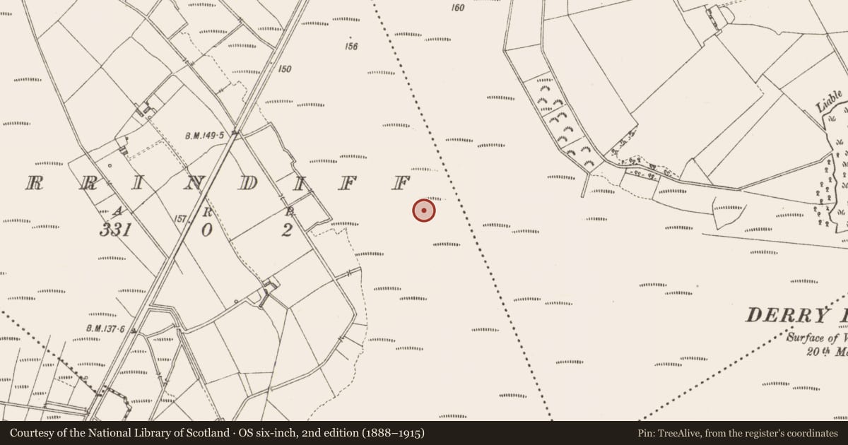 Ordnance Survey six-inch map, 2nd edition (1888–1915) covering the location of Platform - peatland, Derrindiff, County Longford, with a pin at the register's coordinates