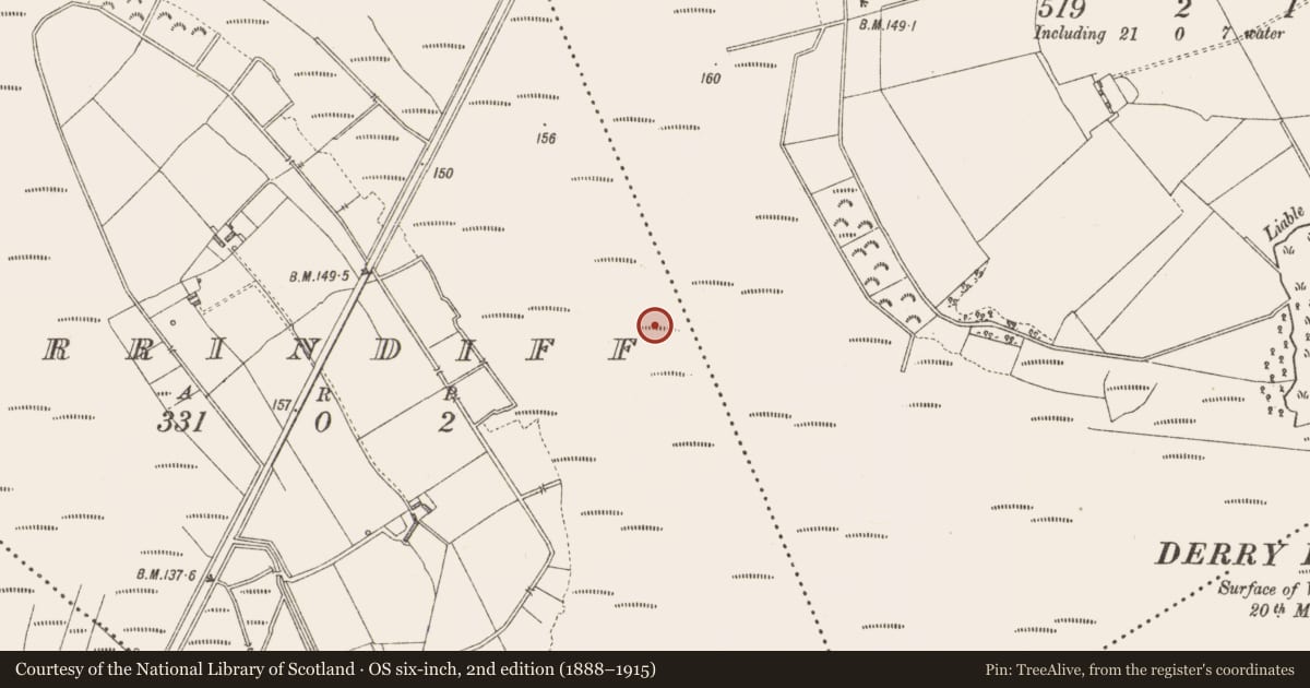 Ordnance Survey six-inch map, 2nd edition (1888–1915) covering the location of Platform - peatland, Derrindiff, County Longford, with a pin at the register's coordinates