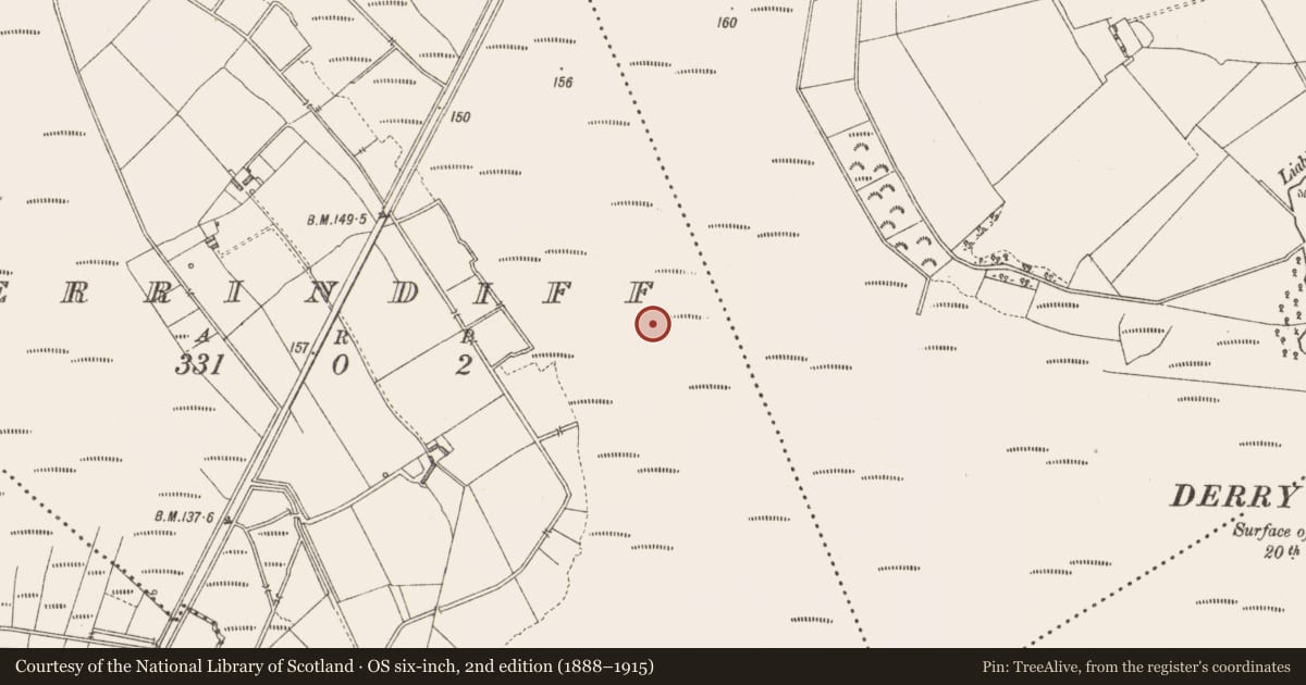 Ordnance Survey six-inch map, 2nd edition (1888–1915) covering the location of Structure - peatland, Derrindiff, County Longford, with a pin at the register's coordinates