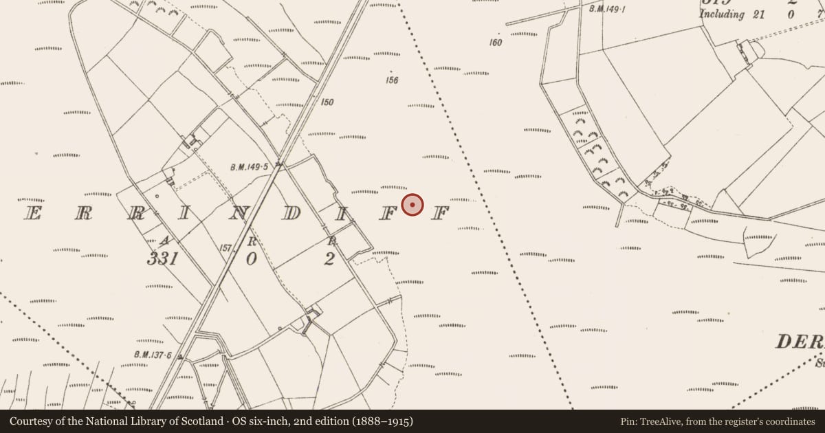 Ordnance Survey six-inch map, 2nd edition (1888–1915) covering the location of Road - unclassified togher, Derrindiff, County Longford, with a pin at the register's coordinates