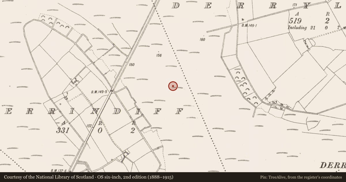Ordnance Survey six-inch map, 2nd edition (1888–1915) covering the location of Platform - peatland, Derrindiff, County Longford, with a pin at the register's coordinates