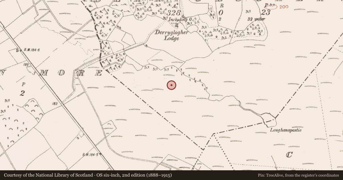 Ordnance Survey six-inch map, 2nd edition (1888–1915) covering the location of Post row - peatland, Derryglogher, County Longford, with a pin at the register's coordinates