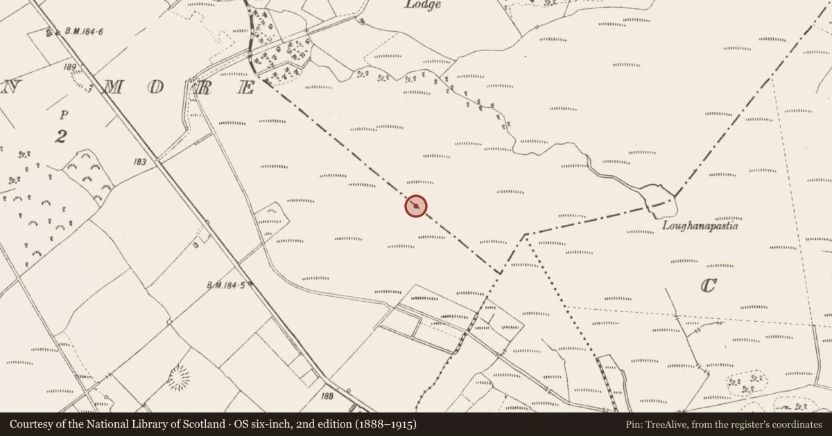 Ordnance Survey six-inch map, 2nd edition (1888–1915) covering the location of Road - unclassified togher, Derryglogher, County Longford, with a pin at the register's coordinates