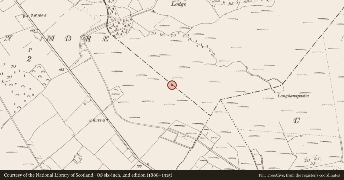 Ordnance Survey six-inch map, 2nd edition (1888–1915) covering the location of Road - class 2 togher, Derryglogher, County Longford, with a pin at the register's coordinates
